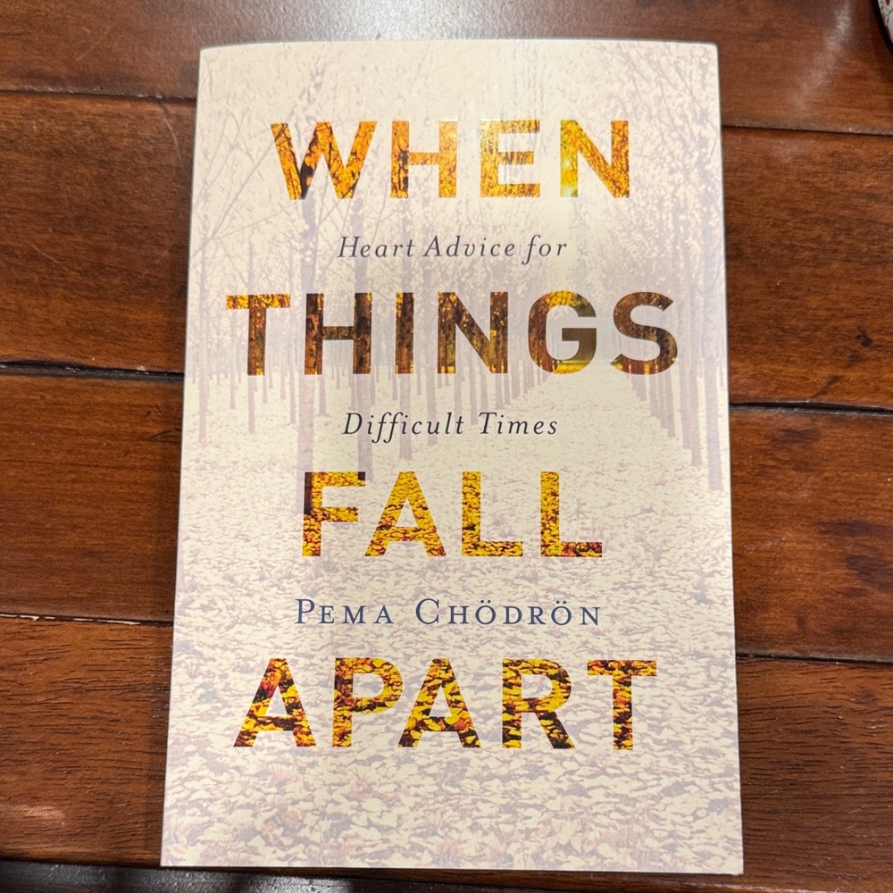 'When Things Fall Apart' Book